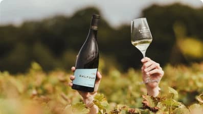 Hands raising a bottle of Balfour wine and a full glass above the vines