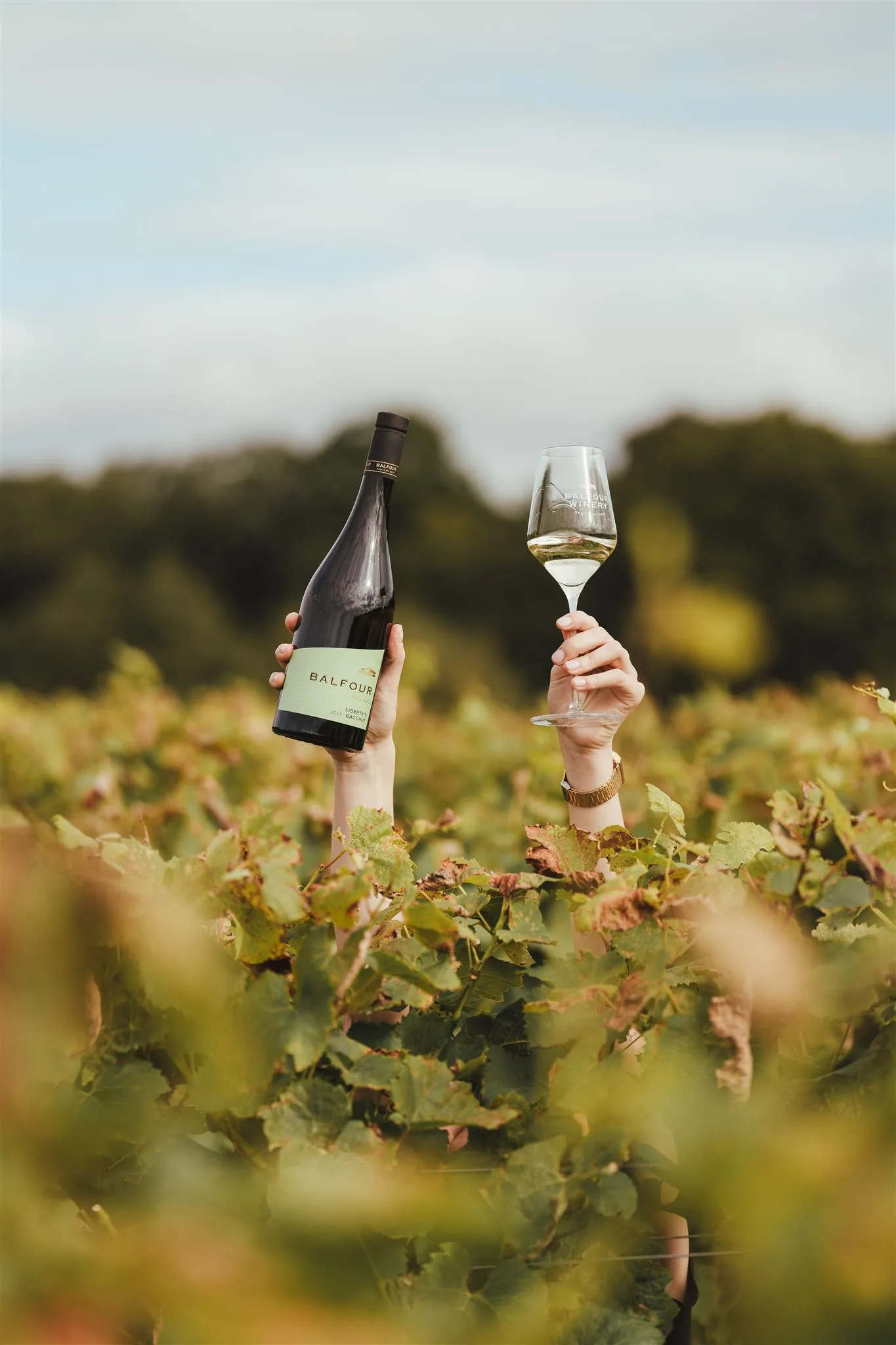 Hands raising a Balfour bottle and a glass above the vines