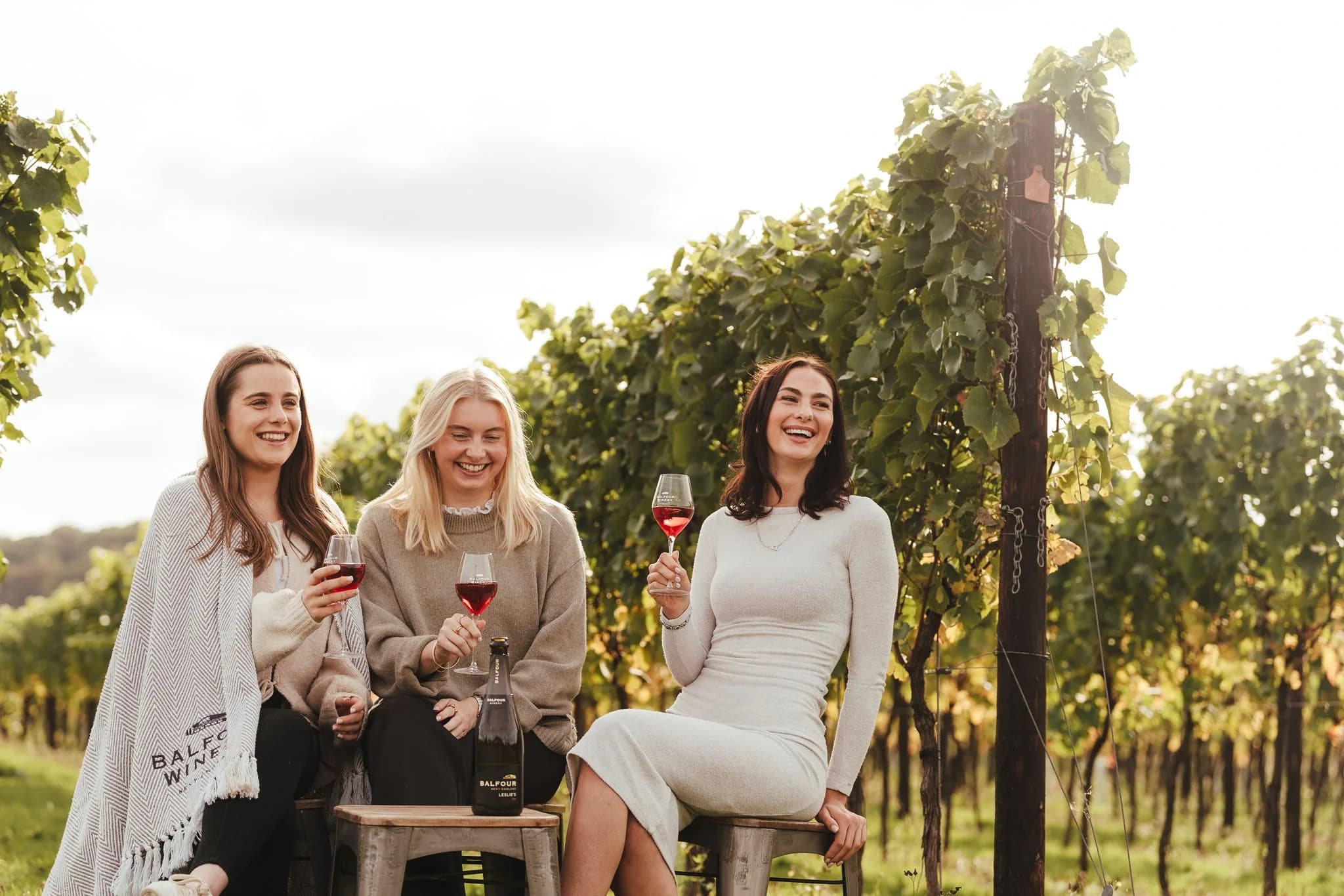 A group of friends walking through the vineyard with wine