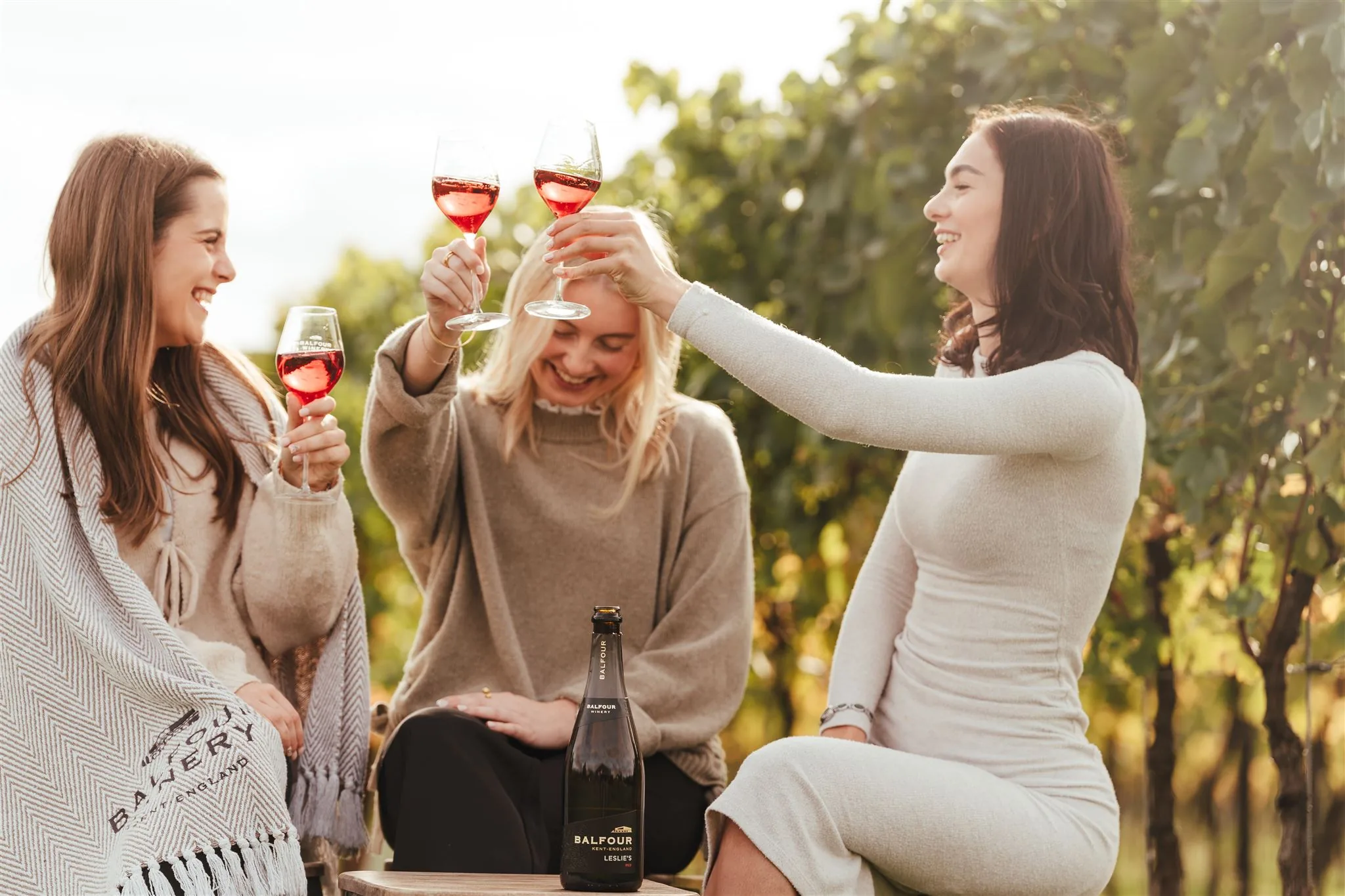 Friends raising glasses of rosé together in the vineyard